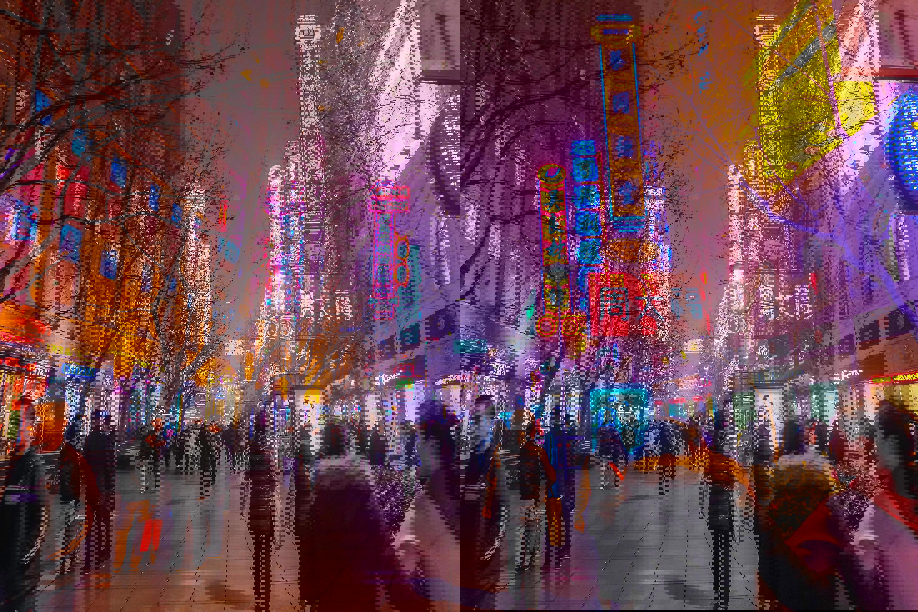 700b1636-80e4-4cbb-8970-8cf017b30b0d