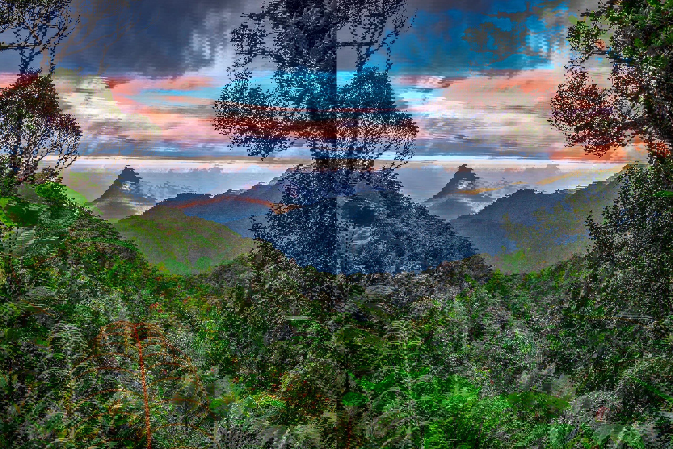 716f0ca6-4f18-4644-a8ac-5137f3771e1f