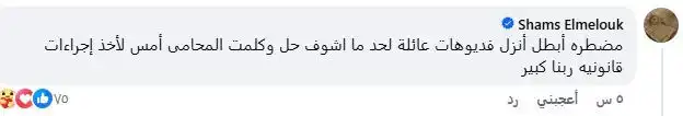 شمس البارودي