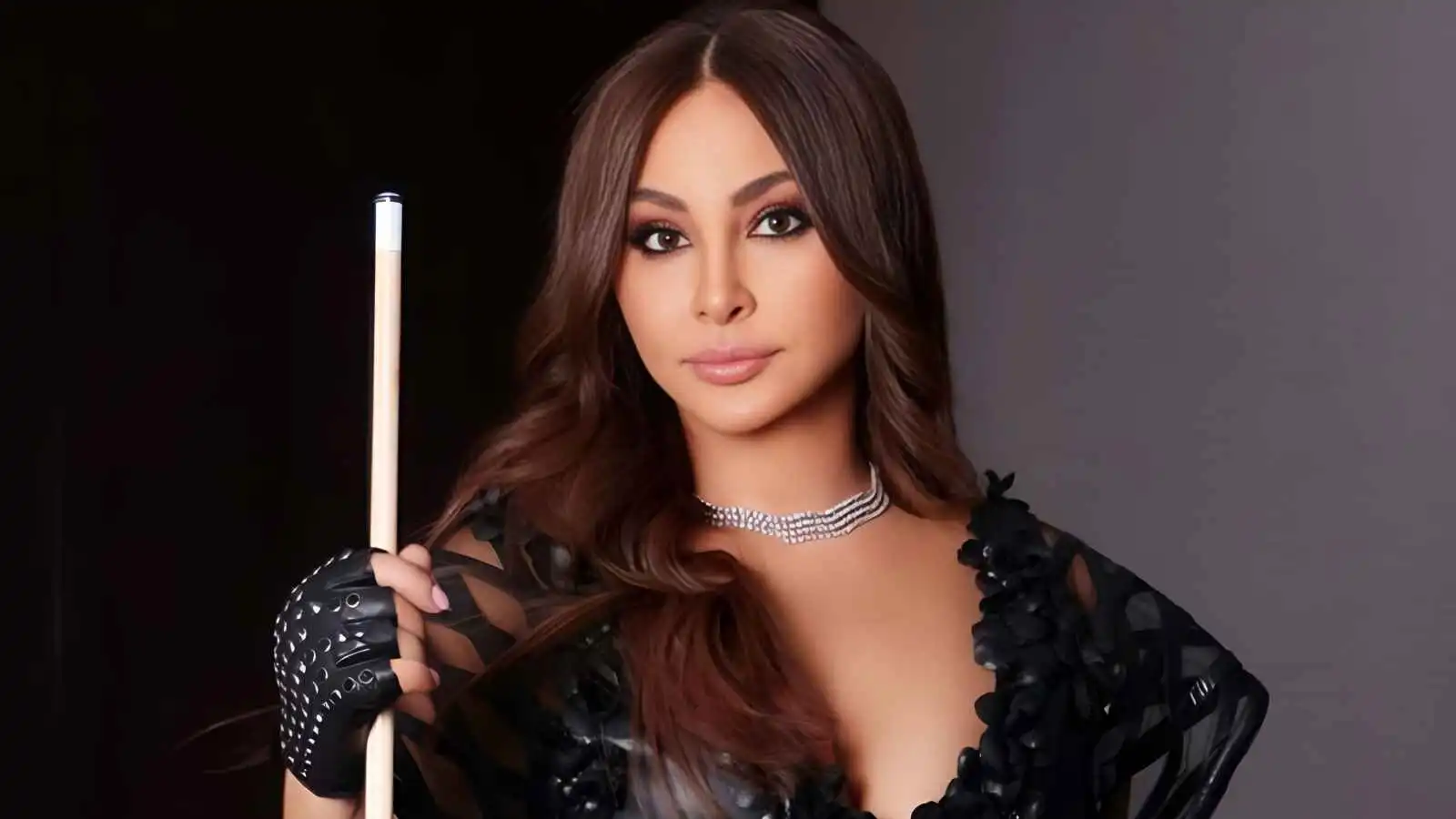 إليسا تكسب معركتها القضائية ضد "وتري"