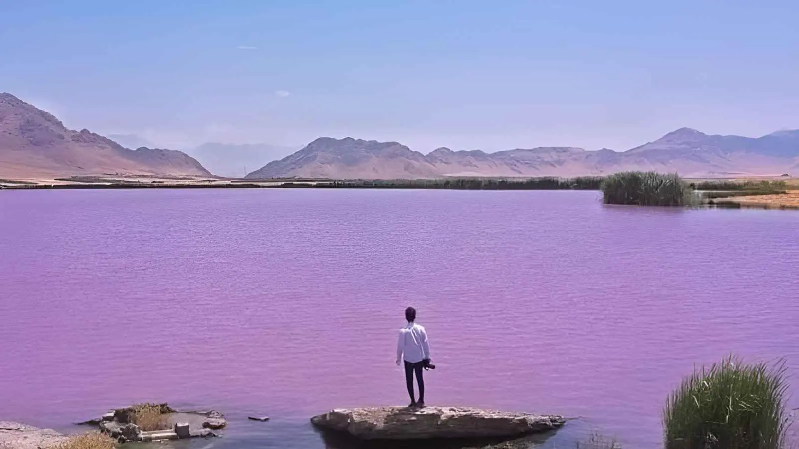 تعرفي على البحيرة البنفسجية... جوهرة العراق الطبيعية