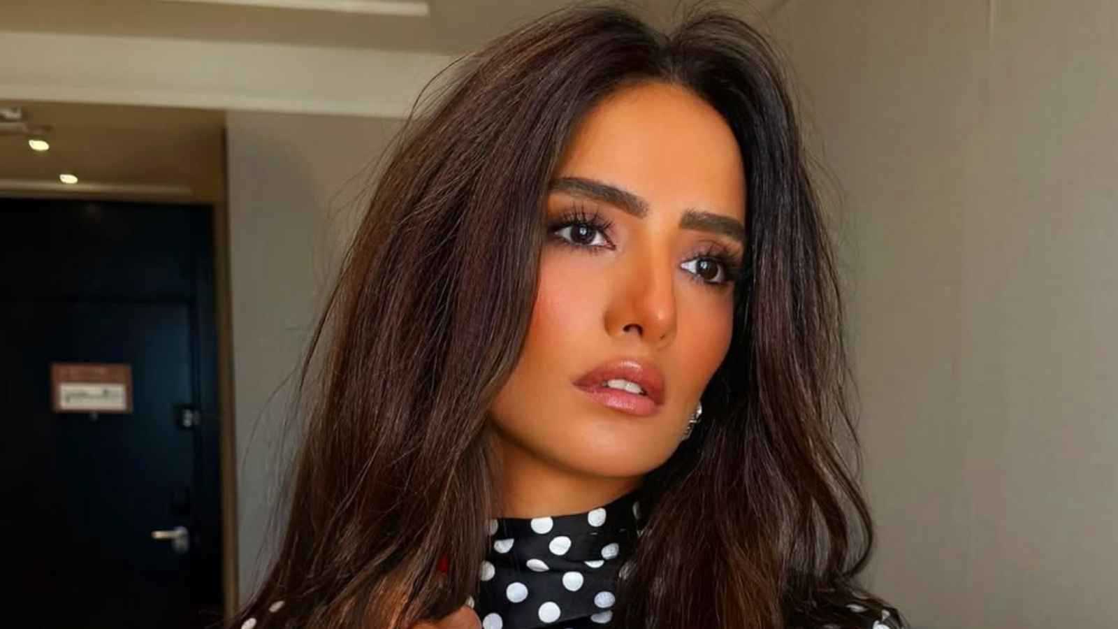 حكم قضائي ينهي قضية ترويع طفلي زينة