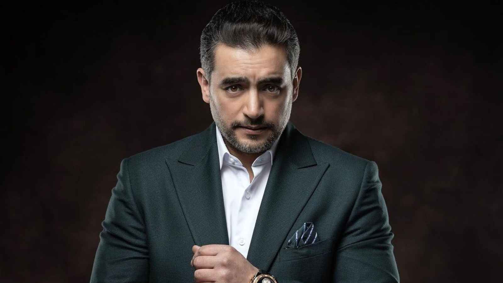 هاني سلامة 