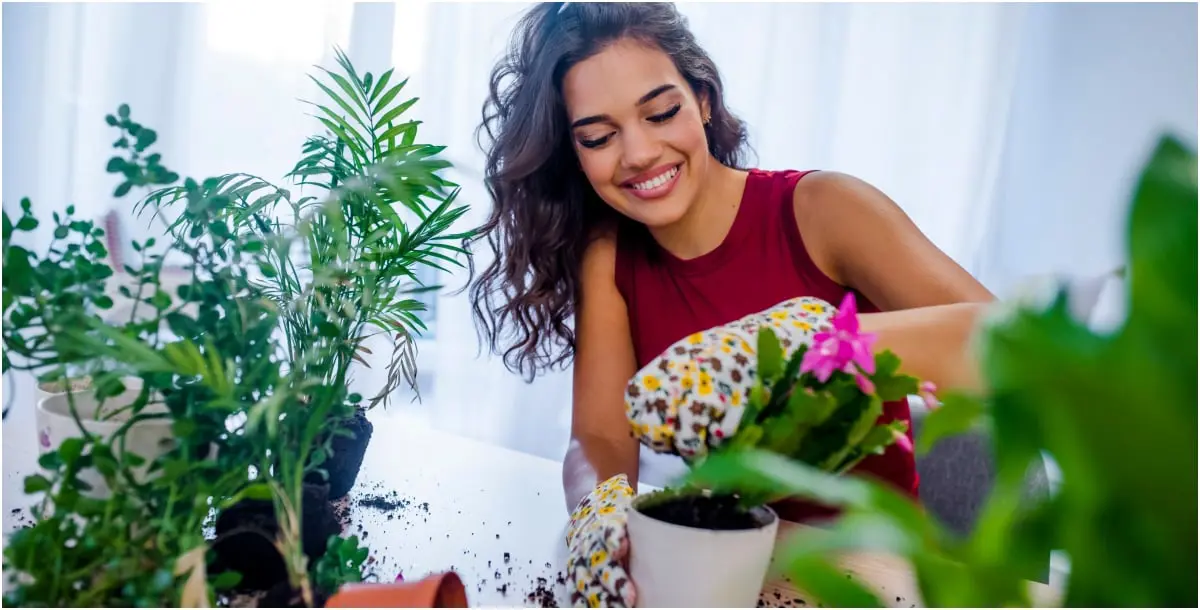 هكذا يُمكنك إعادة الحيوية والنضارة لنباتات منزلك!