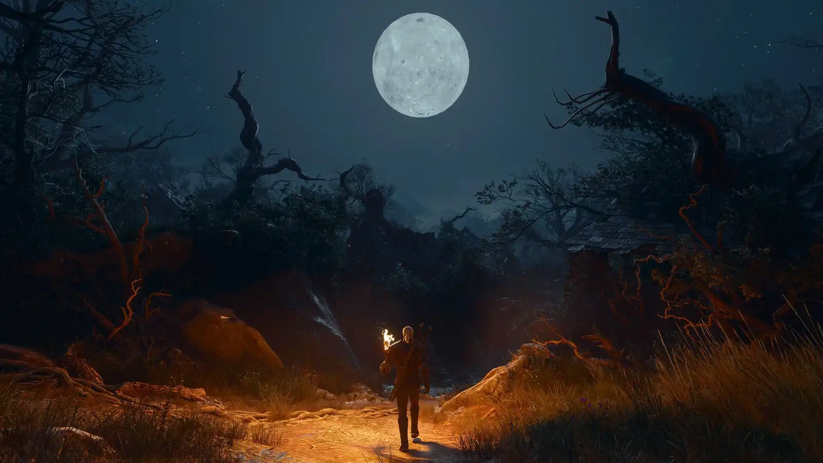 لعبة the witcher 3