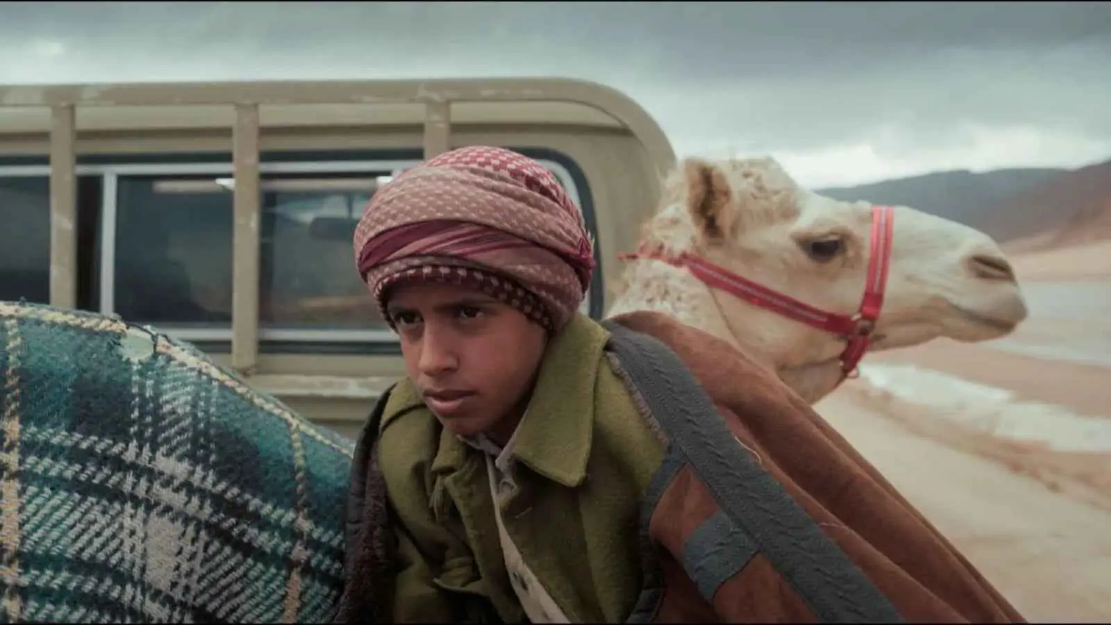 فيلم هجان