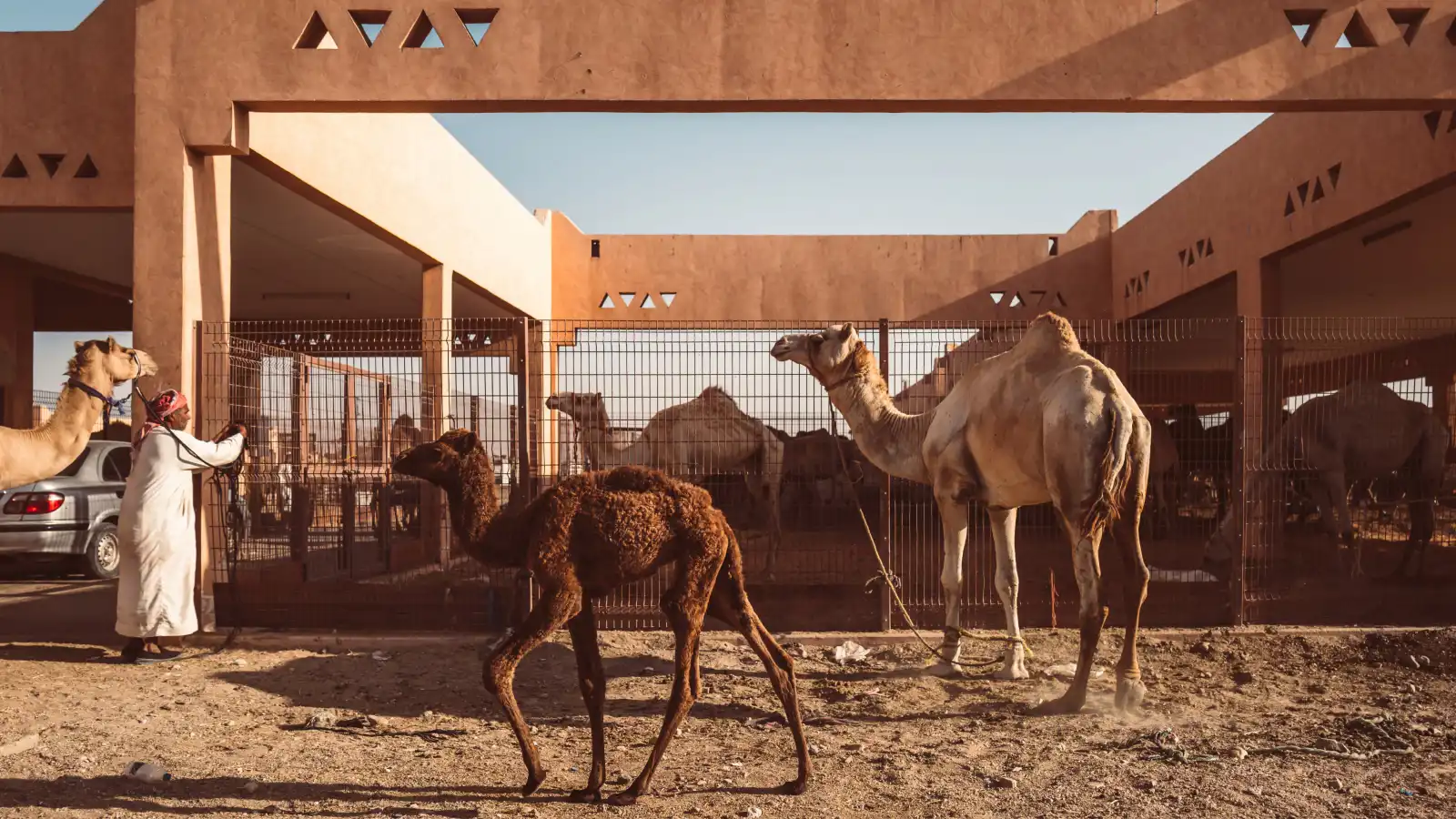 سوق الجمال بالعين وجهة سياحية تحكي عراقة التراث