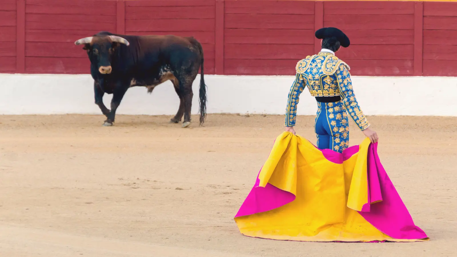 إلغاء الجائزة الوطنية لمصارعة الثيران يثير الجدل في إسبانيا
