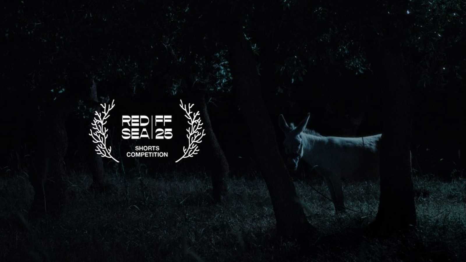 موعد انطلاق منتدى الإعلام الإماراتي في متحف المستقبل