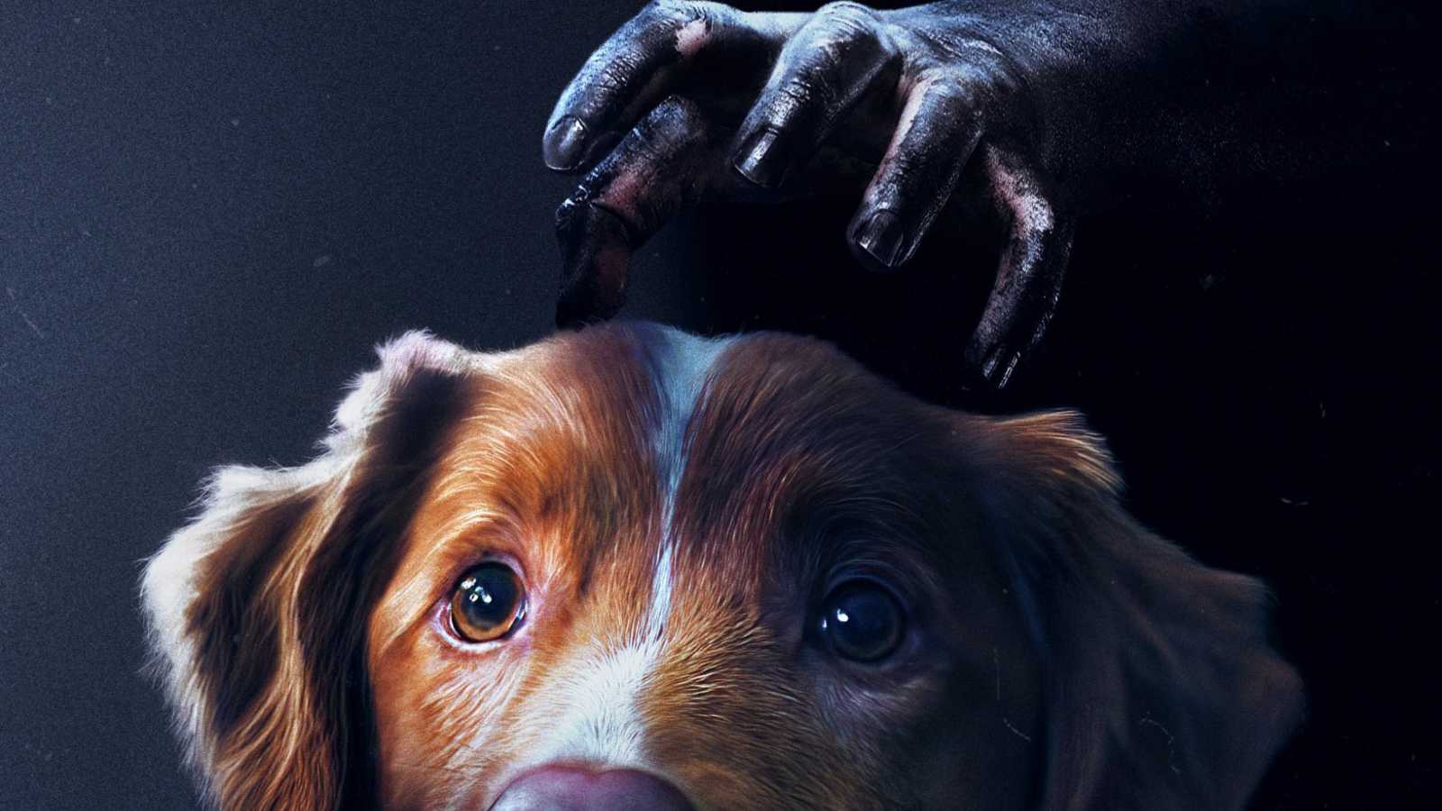 بوستر  فيلم Good Boy 