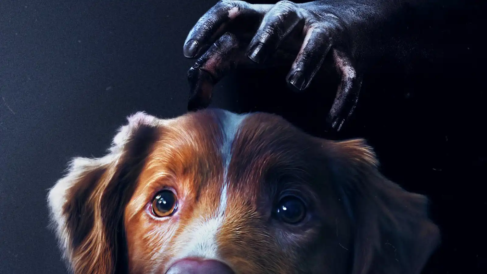 فيلم الرعب Good Boy يحظى بتقييم 95%.. القصة وموعد العرض