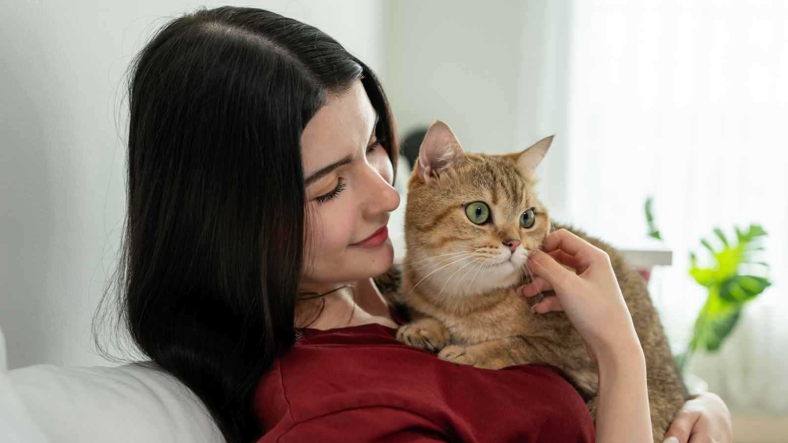 سمة مفاجئة في قطتك قد تعالج السرطان 