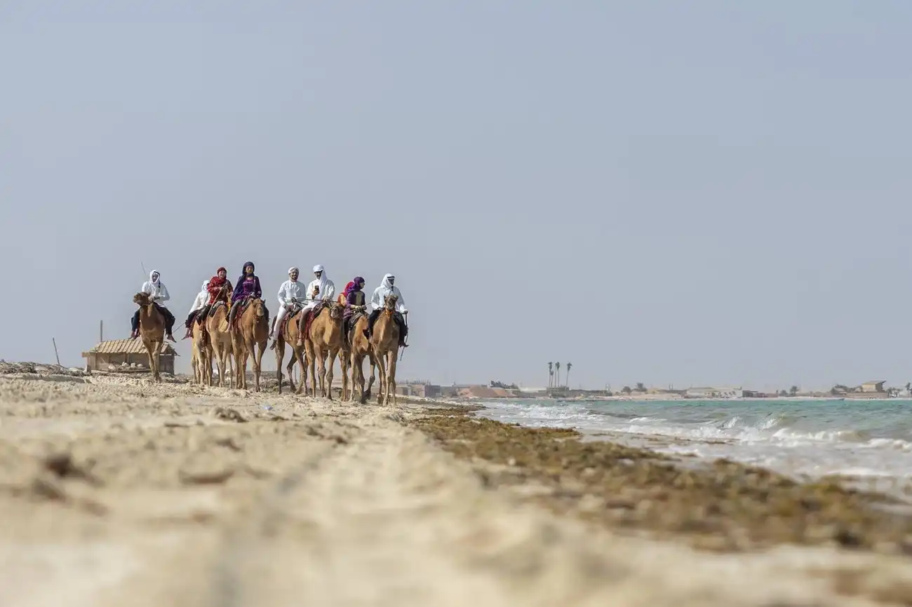 رحلة الهجن من أبو ظبي إلى دبي توثيقاً للتراث الإماراتي
