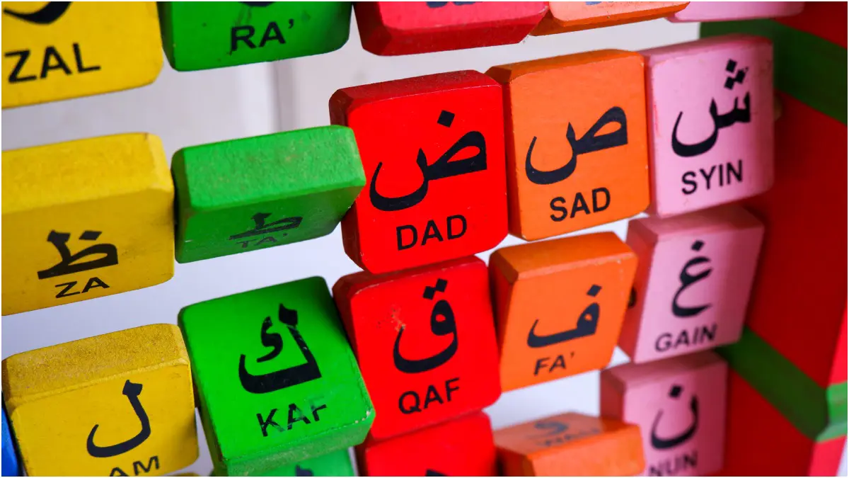 دراسة: أدمغة المتحدثين باللغة العربية أكثر تعقيدا