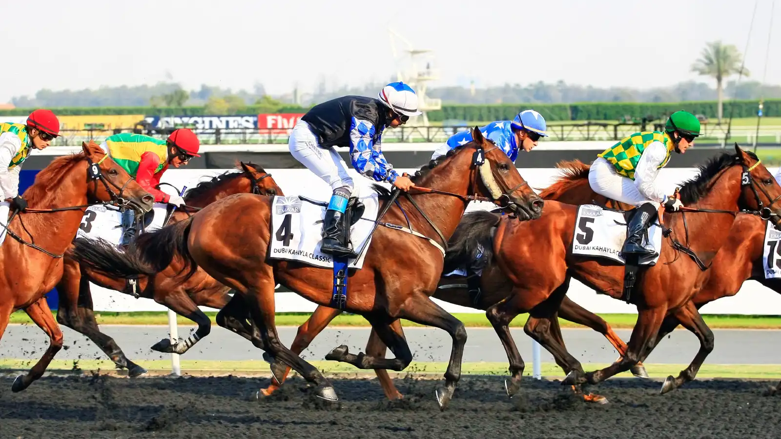 كأس دبي العالمي The Dubai World Cup