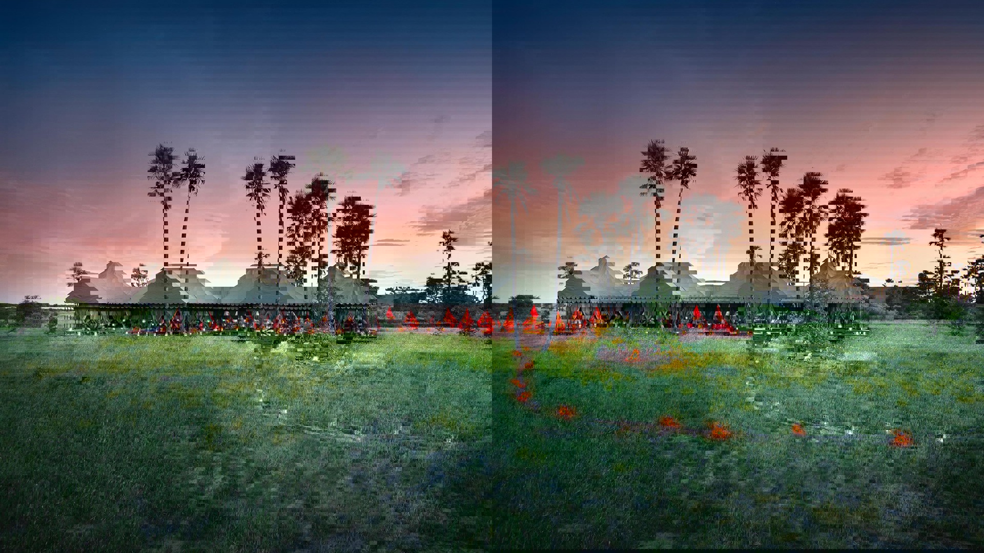 911ee755-d273-4623-bc30-47b084f41688