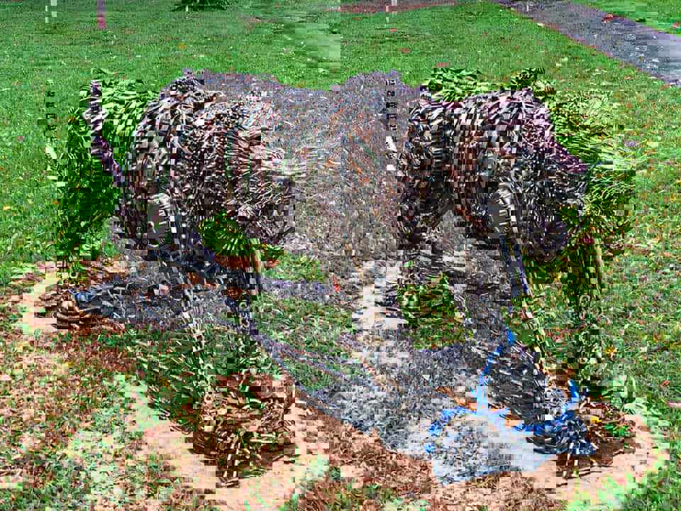 922cc0b7-5683-4ebf-9d6c-a215d5ac1c11