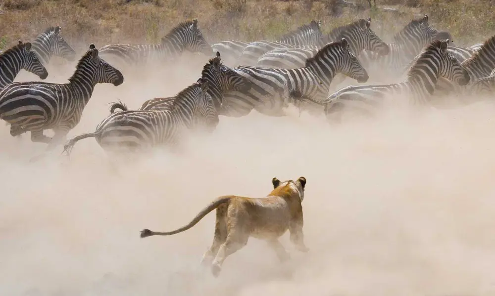 Kenya