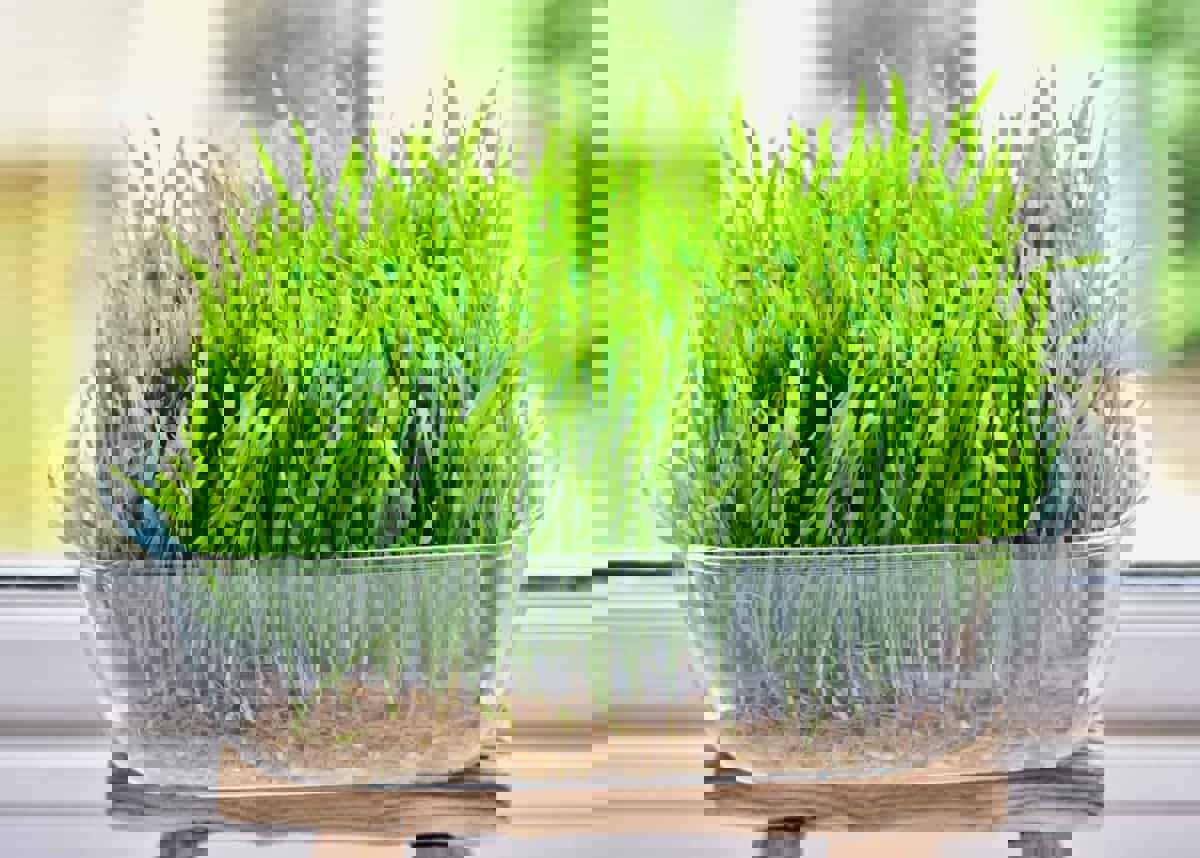 94273667-51c7-400b-a119-27f7a354e070