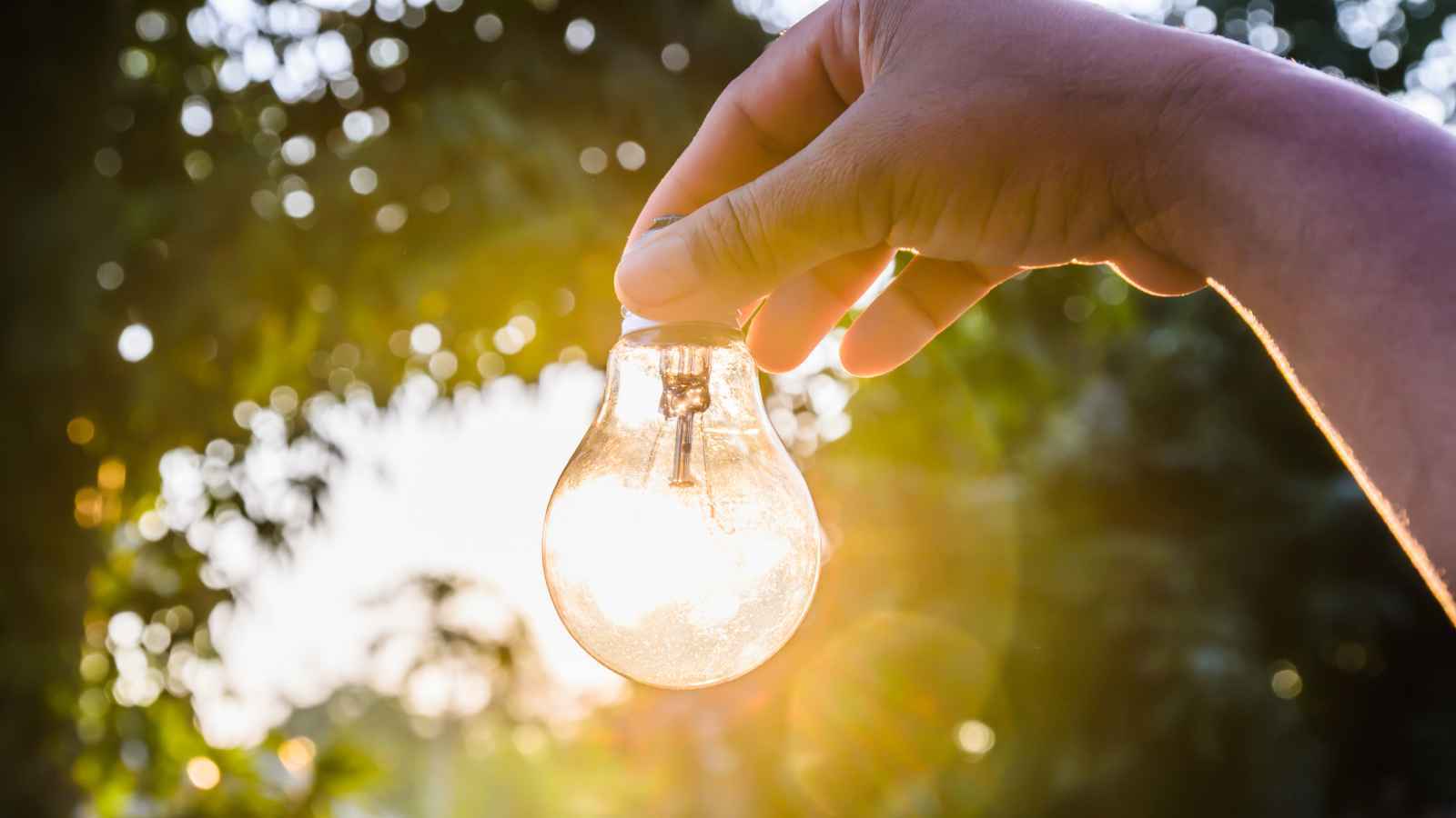 طرق بسيطة لتدوير المصابيح الكهربائية