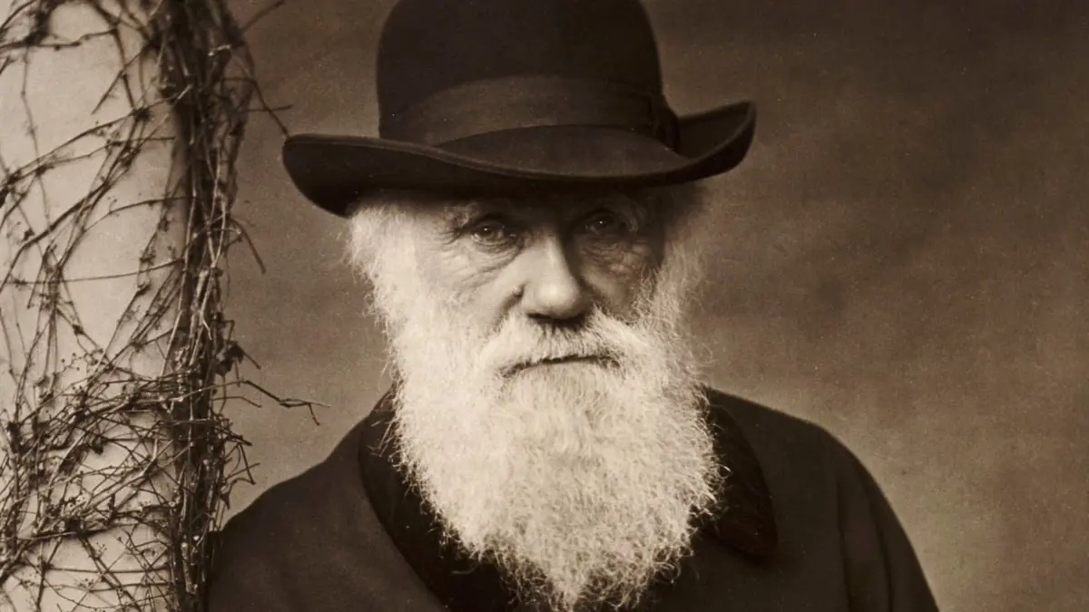 الكشف عن مكتبة داروين بالكامل لأول مرة