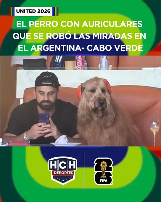 الكلب برويدي يشعل الأضواء في كأس العالم
