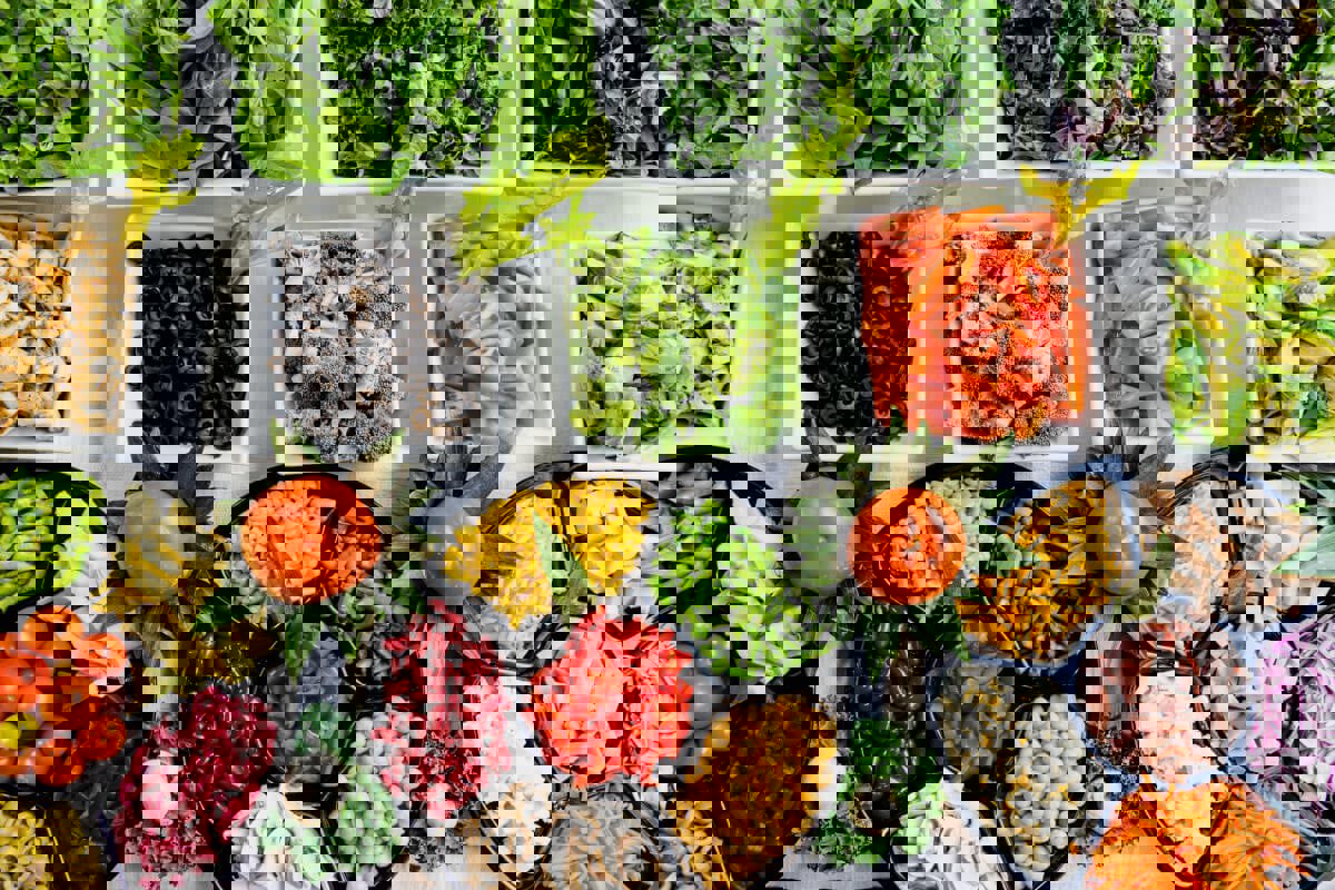 9a291df5-f50f-440b-a4b2-cfcbd2bbdb62