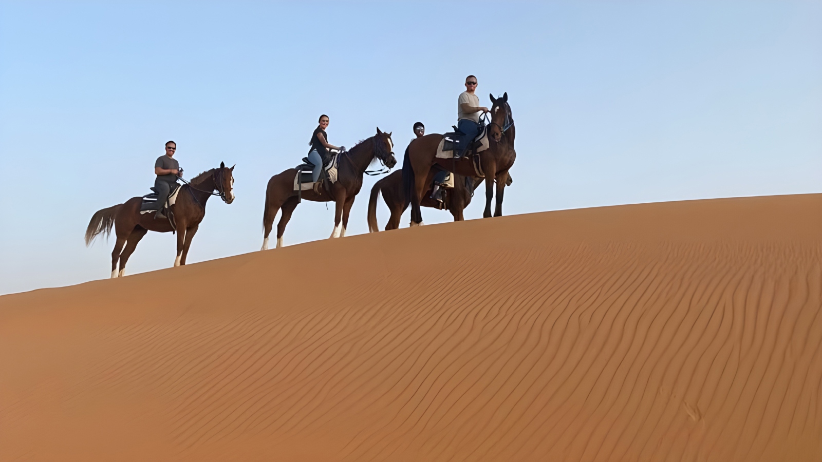 حديقة نوفا في السعودية