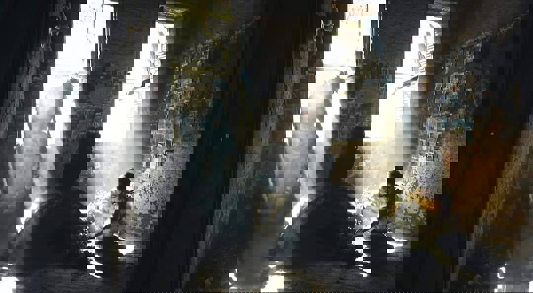 9b8cc5c5-77dc-43ee-aee3-456e8aa98099