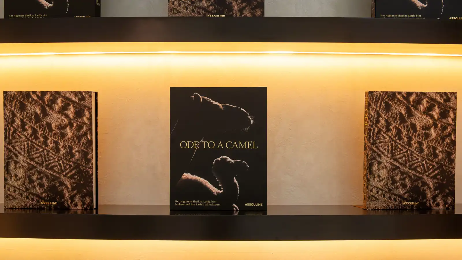 الكتاب المصور "قصيدة للجمل"