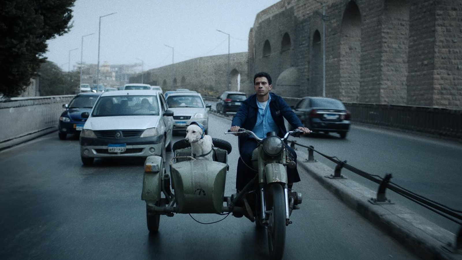 أفلام مهرجان فينيسيا 