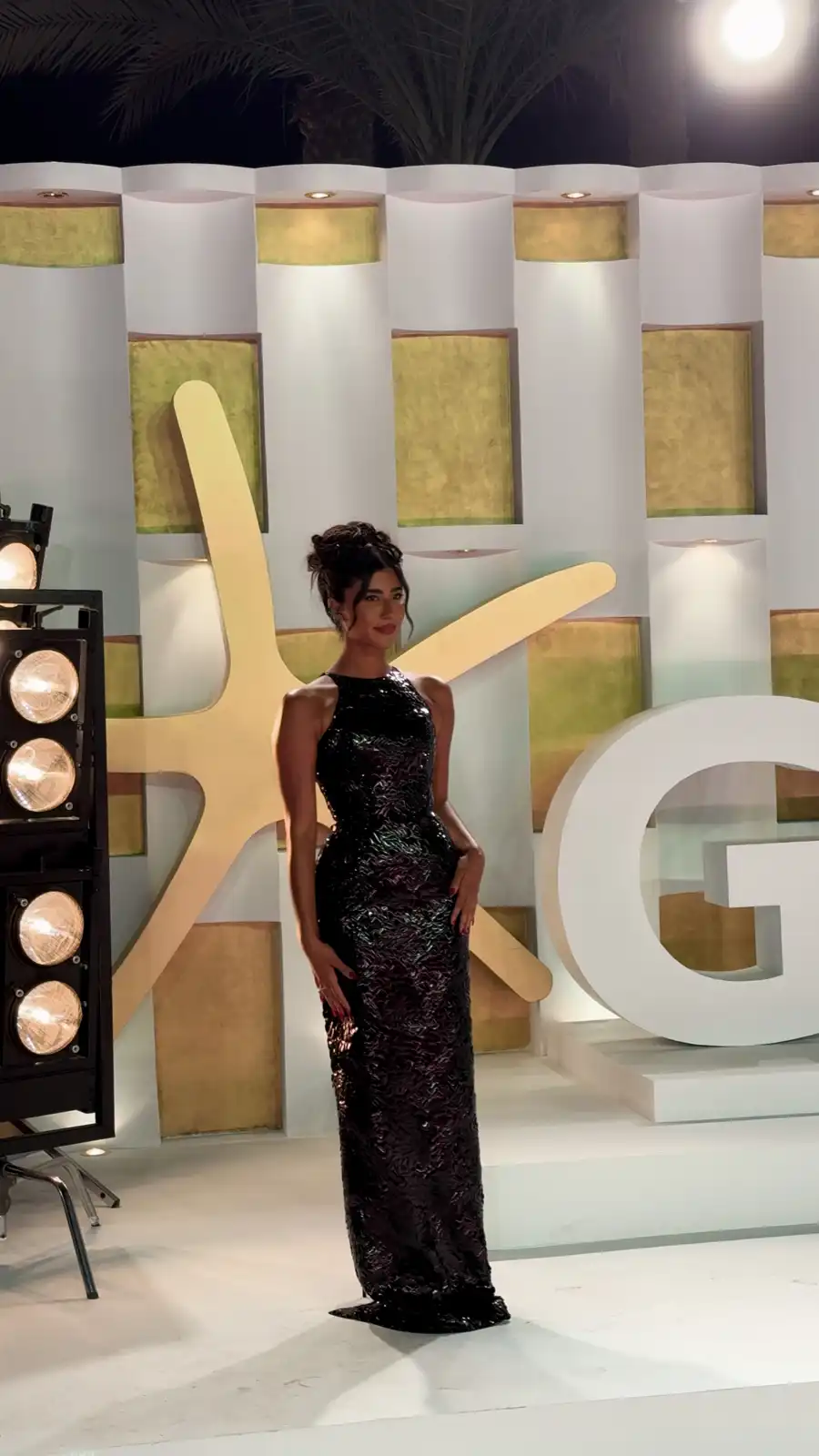 نجوم السادة الأفاضل يخطفون الأضواء في مهرجان الجونة 2025