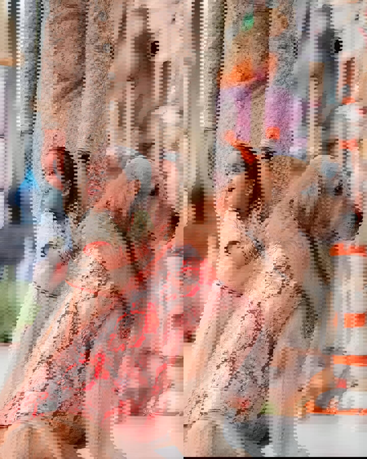 a01c341b-e7b9-441a-bad5-6a802012812c