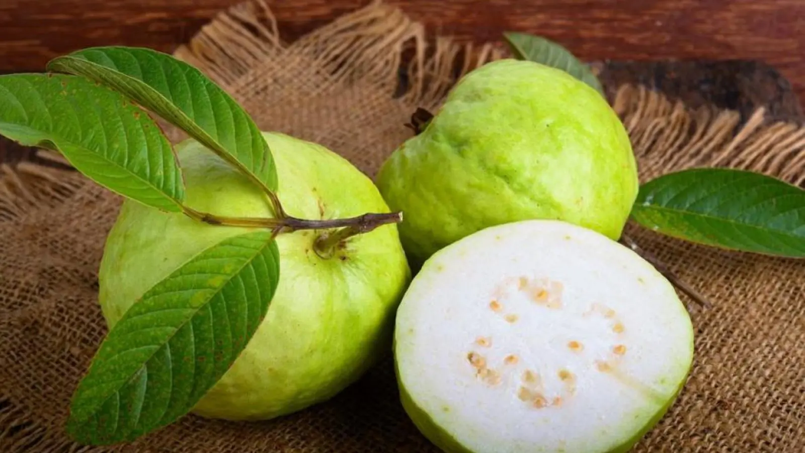 7 فوائد صحية مهمة لأوراق الجوافة