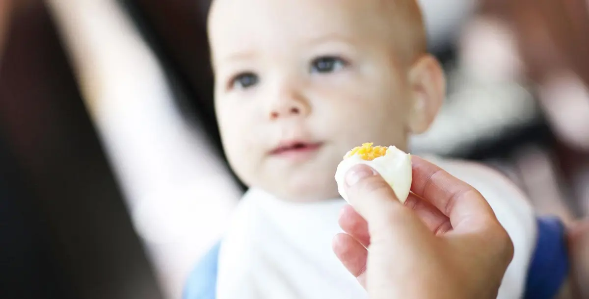 هذا ما يعود على طفلك من فوائد إذا واظب على تناول البيض 6 أشهر !