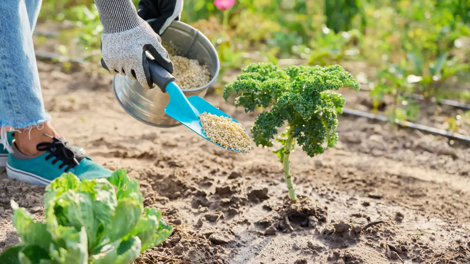 أخطاء في العناية بالنباتات قد تمنعها من النمو