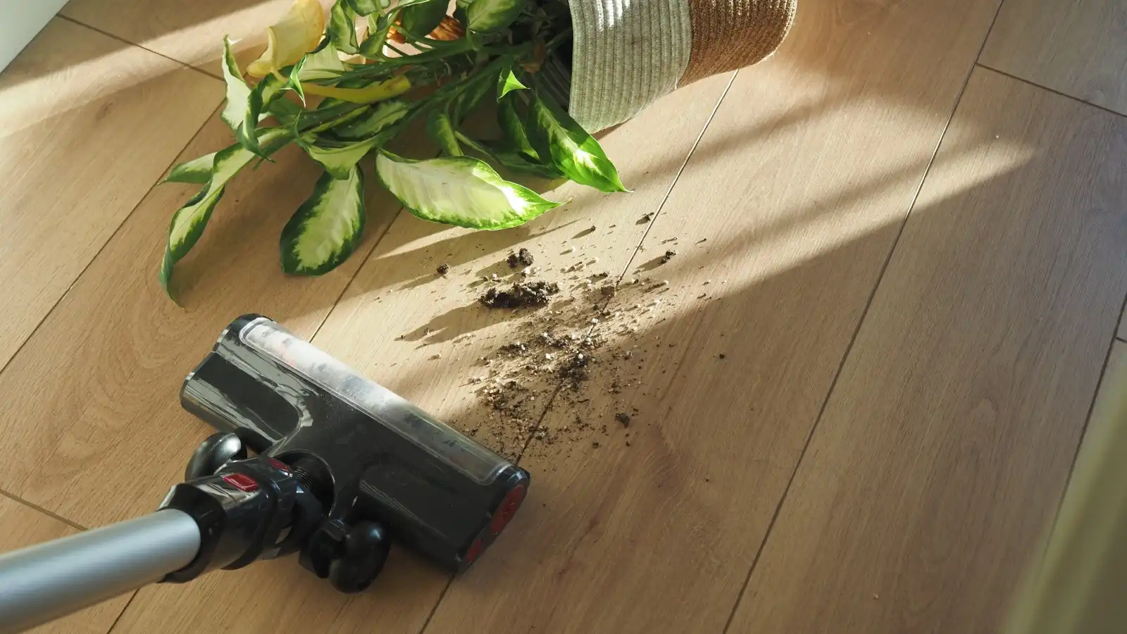 أشياء يحظر تنظيفها بالمكنسة الكهربائية للحفاظ على كفاءتها