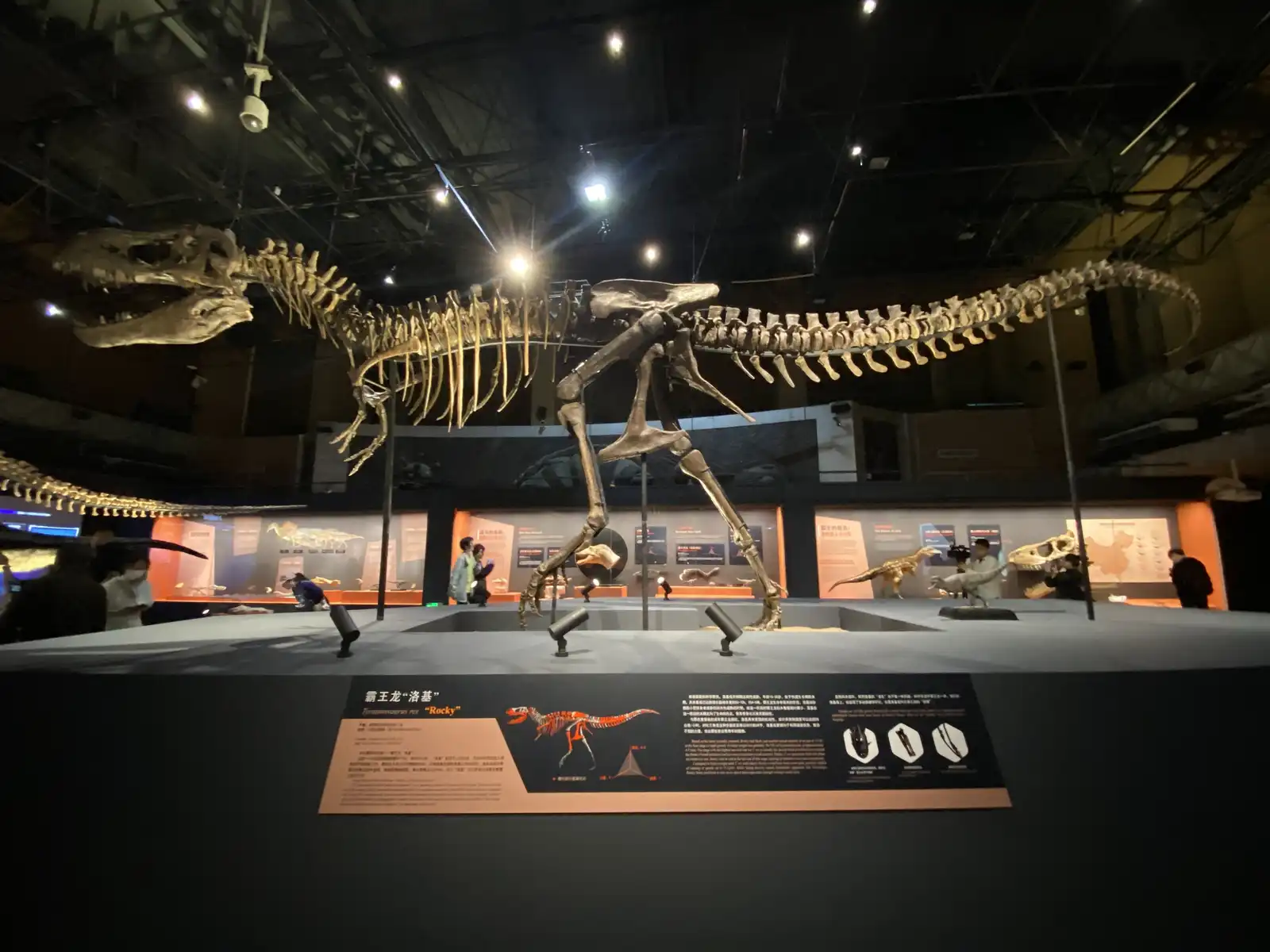 Tyrannosaurus Rex