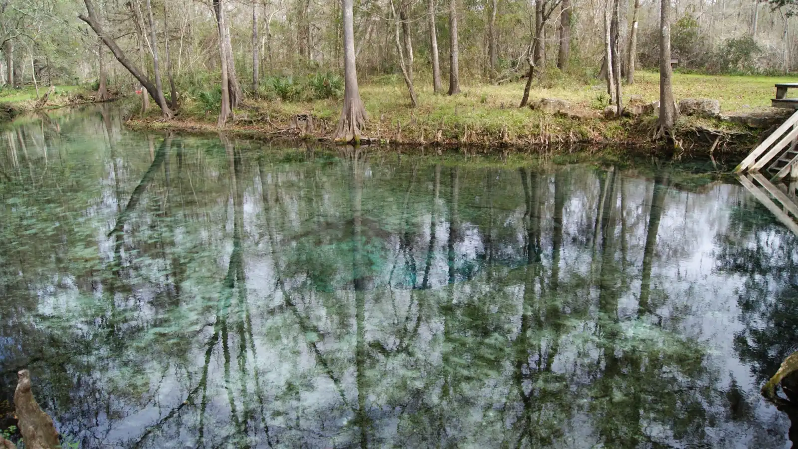 ينبوع جيني Ginnie Springs