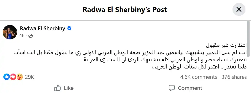 رضوى الشربيني لأحمد العوضي: اعتذارك غير مقبول