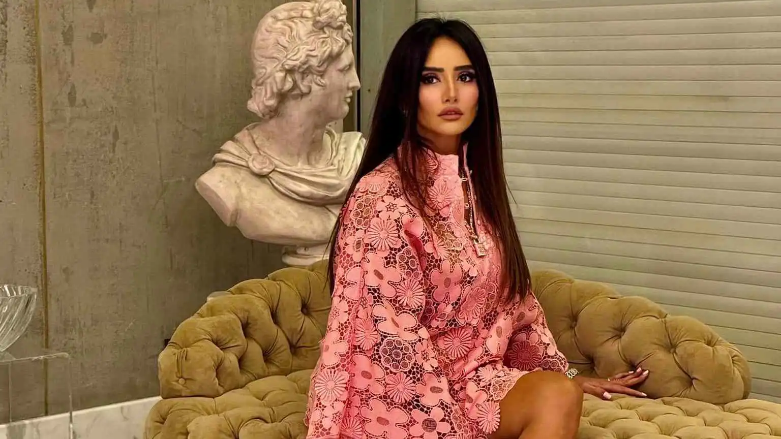 حقيقة مقاضاة زينة لـ أحمد عز بهدف زيادة النفقة