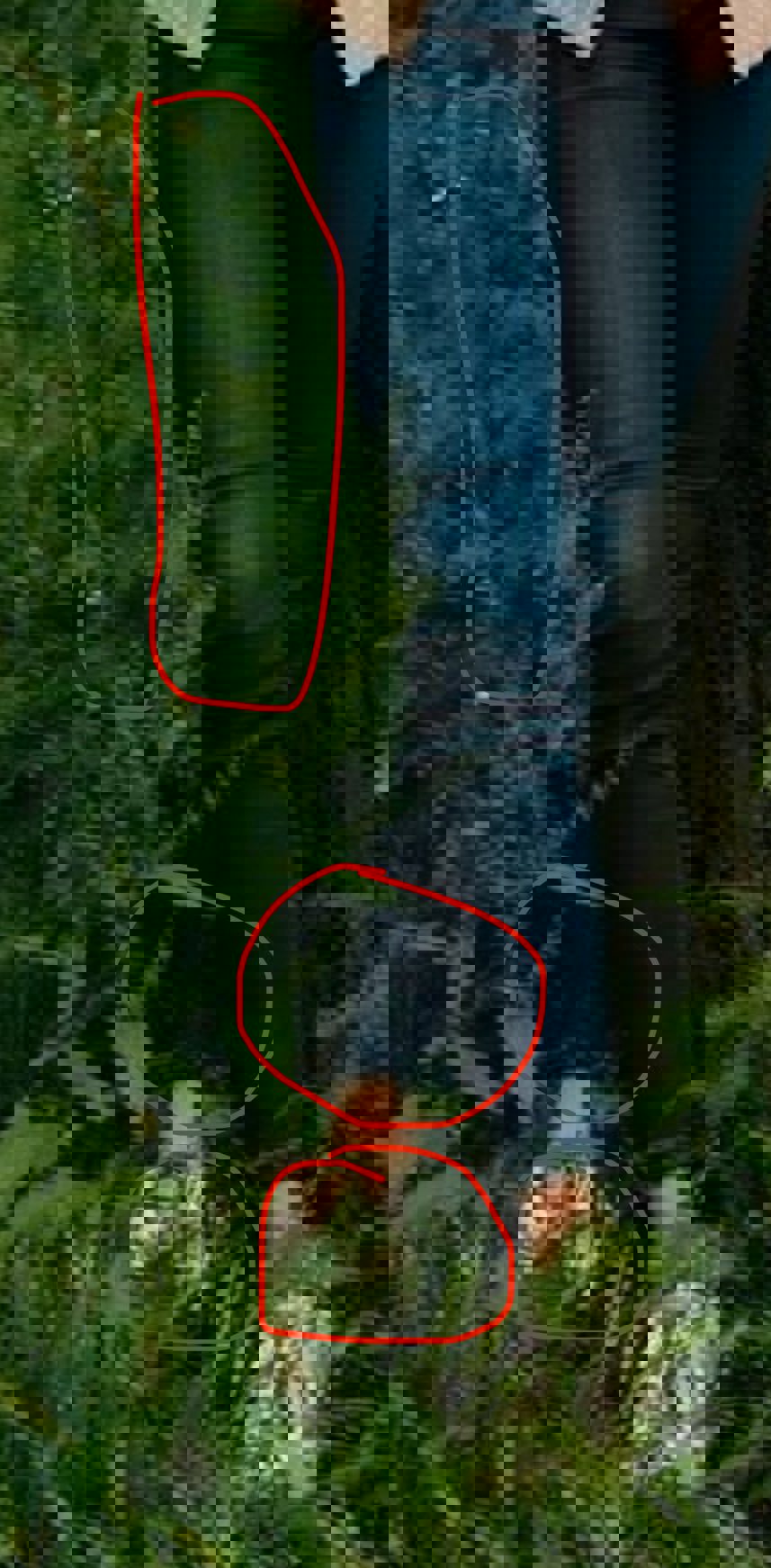 ae9d2d9e-ec32-4c23-bdb2-f03b7d33ec2d