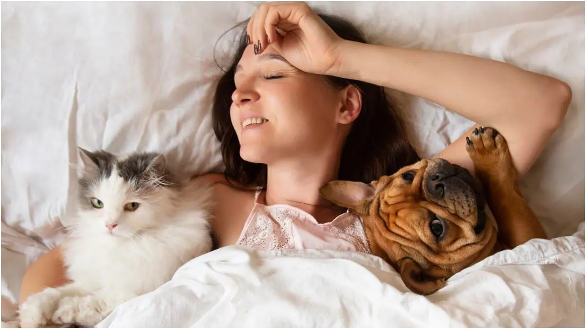 ما تأثير نوم الكلاب أو القطط على فراشنا؟