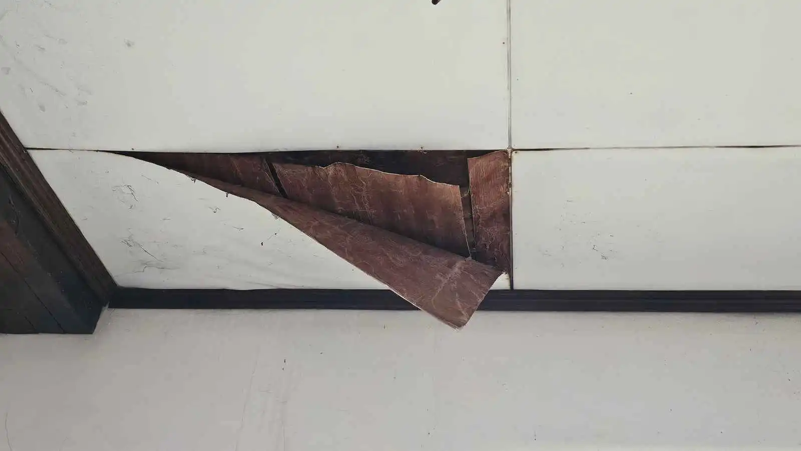 تفسير حلم تقشر حيطان المنزل وعلاقته بكشف الحقائق
