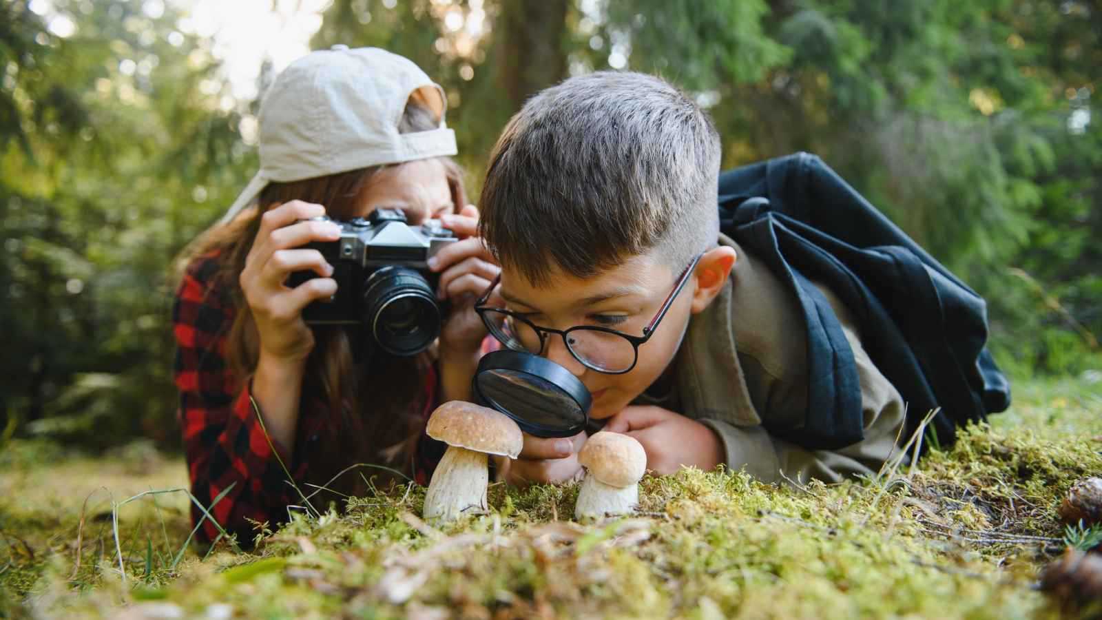 رحلات الطبيعة كأداة تعليمية للأطفال