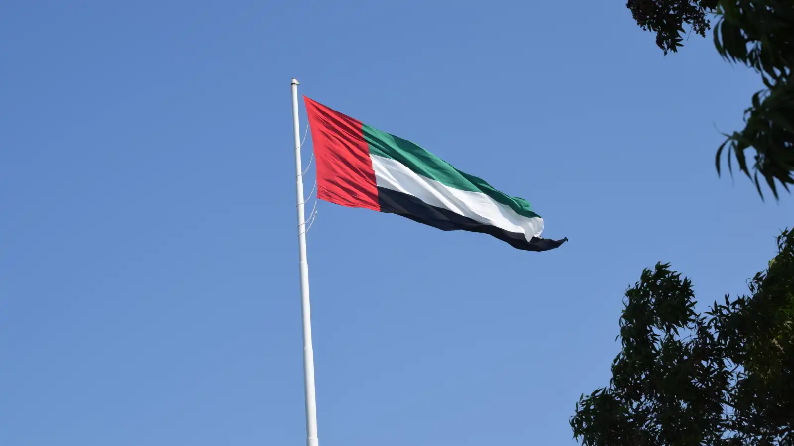 مظاهر الاحتفال بالعيد في الإمارات