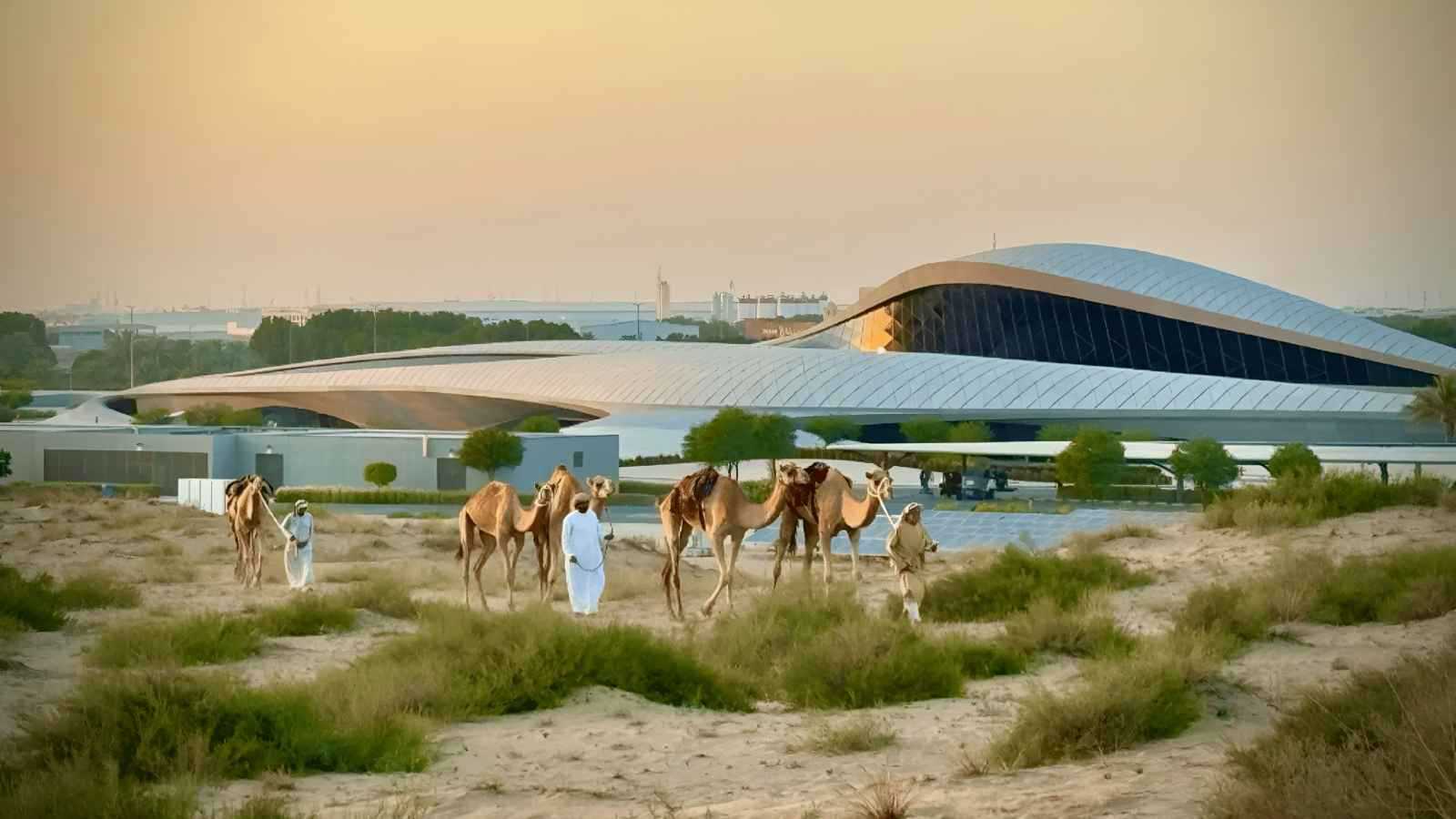 فيلم "الحلول الحضرية لعالم أخضر"" يفوز بجائزتين عالميتين