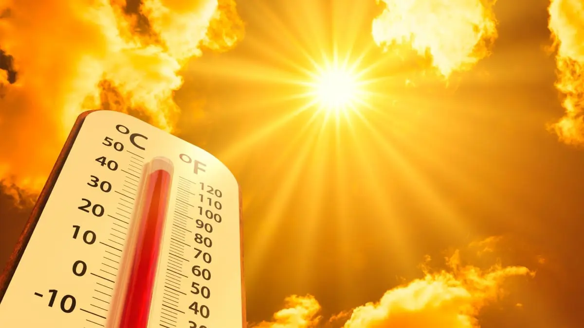 تلافي ارتفاع حرارة الأرض من أولويات "COP 28" في الإمارات 