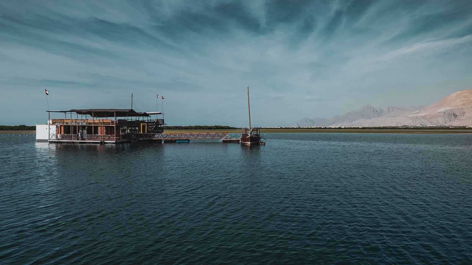 مزرعة السويدي للؤلؤ وجهة بحرية بتجارب فريدة 