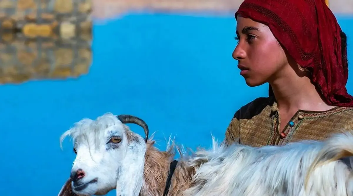 حصد 5 جوائز مرموقة.. فيلم "The Goat"  يحقق نجاحا باهرا 